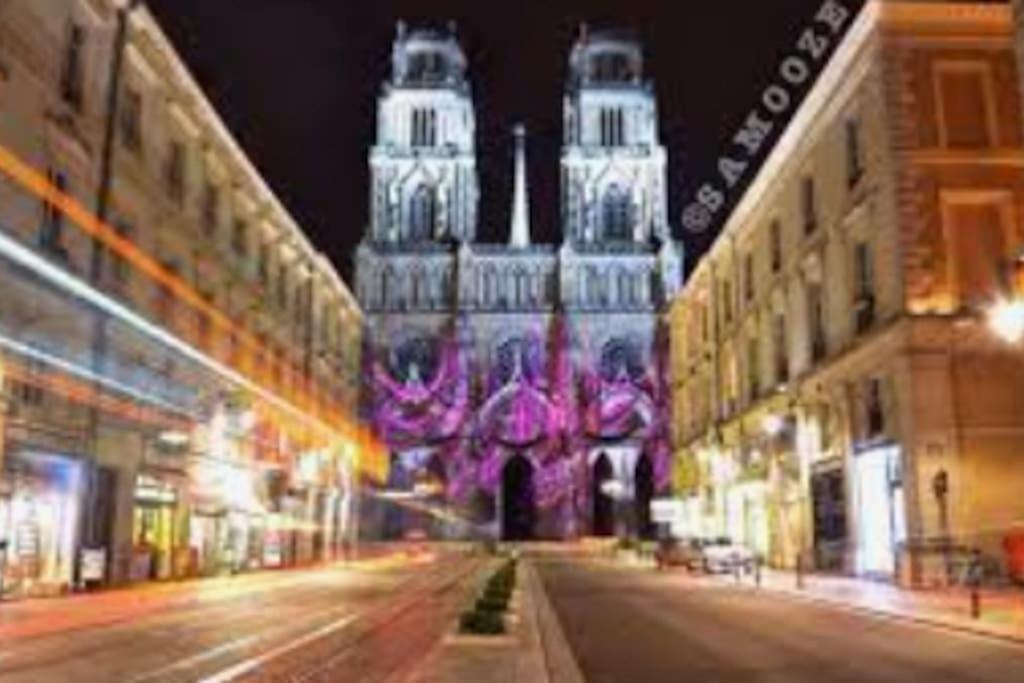 Chaleureux Appart, Proche De La Loire Avec Parking Apartamento Orléans Exterior foto